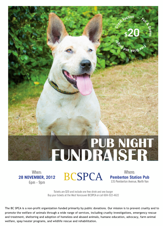 SPCA - Pub Night